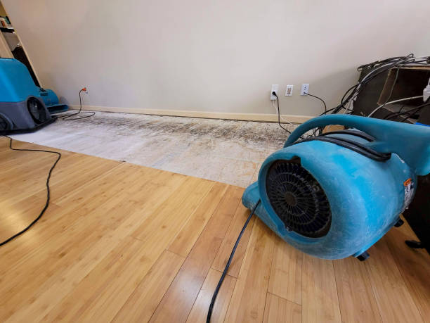 Professional Water Damage Repair technician working in Chepachet, RI